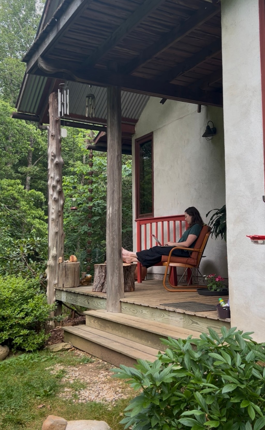 Scenes from Sourwood&nbsp;Forest